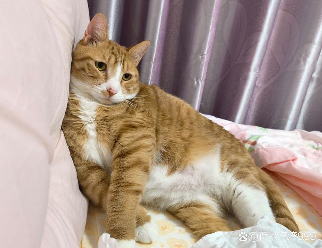 外线有谱!克林根半场9中6拿到全队最高16分外加7板三分5中4