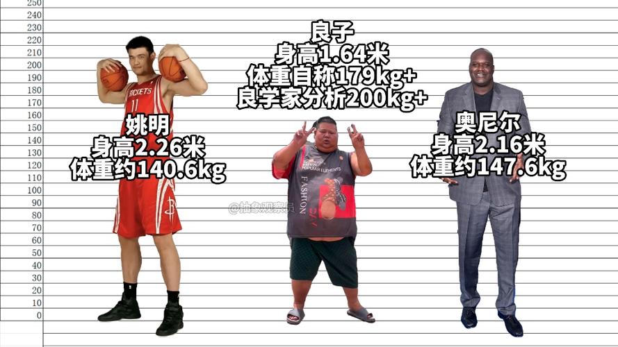 奥尼尔姚明身高，奥尼尔姚明身高多少？