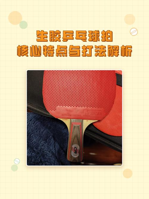 乒乓球胶皮区别，乒乓球拍胶皮区别