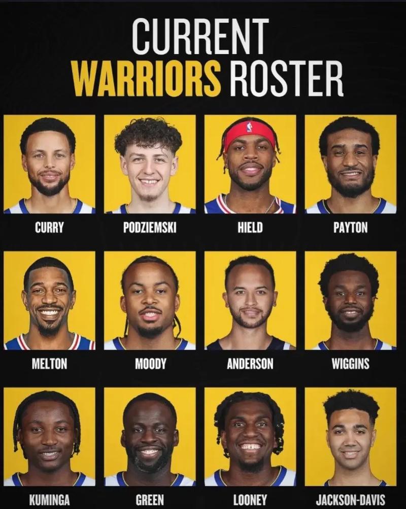 2015勇士队阵容名单？2015nba勇士阵容？